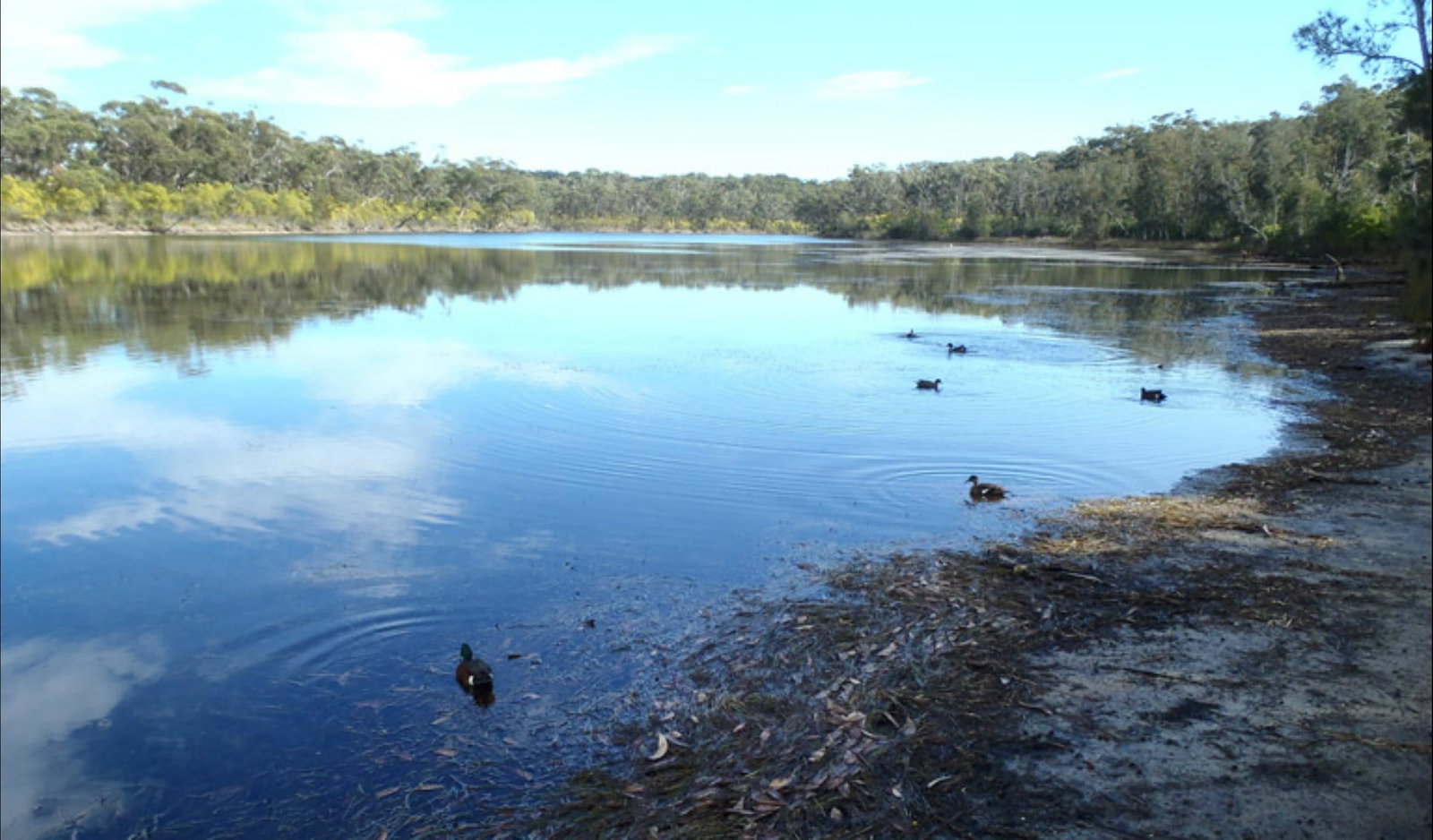 Berrara NSW Holiday Cairns