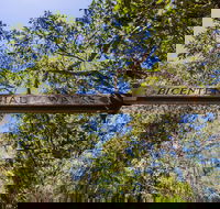 Bribie Island Bicentennial Trails - Holiday Cairns