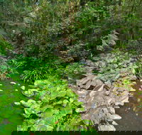 Brindle Creek Picnic Area - Holiday Cairns
