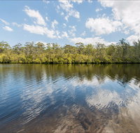 Cockatoo picnic area - Holiday Cairns