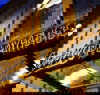 Darlinghurst Theatre Company - Holiday Cairns
