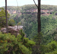 East Rim wildflower walking track - Holiday Cairns