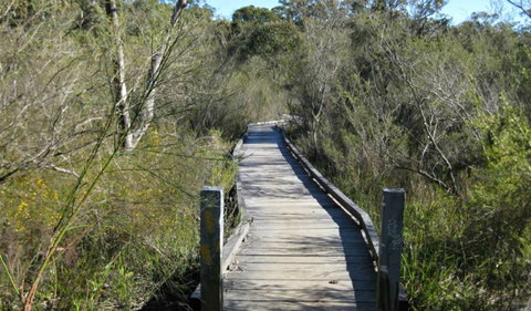Falcon Crescent Link Track - Holiday Cairns 0