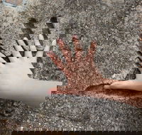 Hands of Fame Park - Holiday Cairns