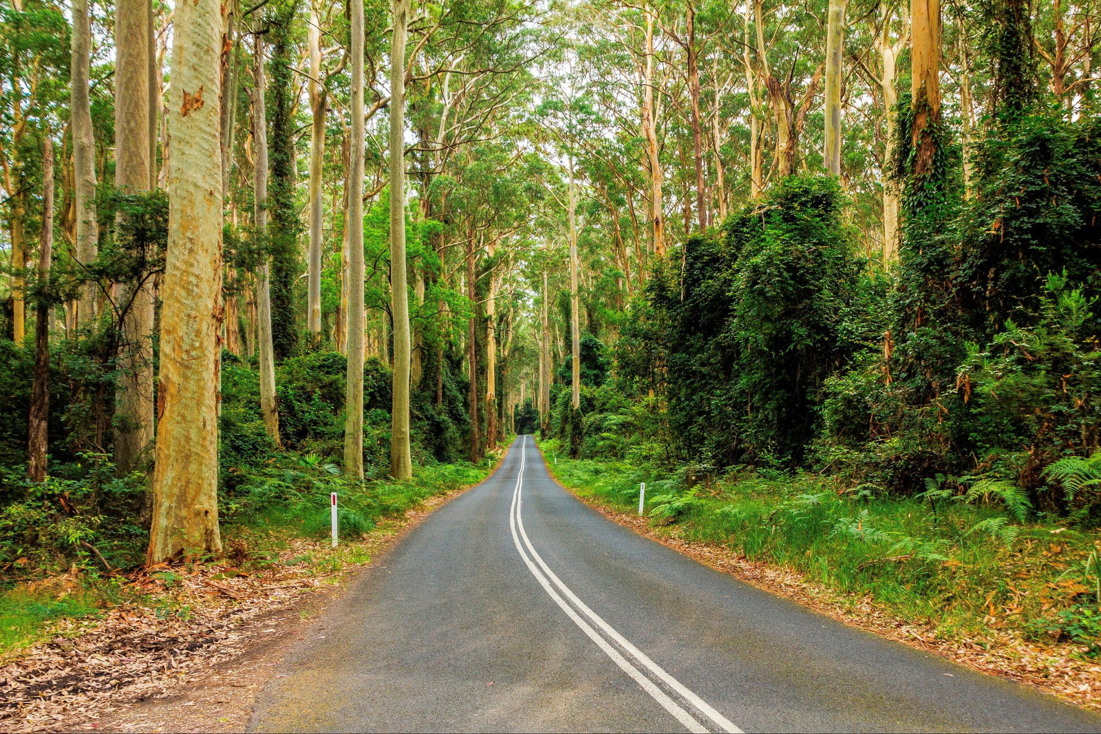 Kioloa NSW Holiday Cairns