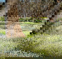 Leaghur State Park - Holiday Cairns