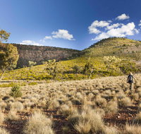 Little Mountain Walking Track - Holiday Cairns