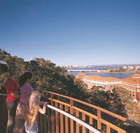 Lotterywest Federation Walkway - Kings Park - Holiday Cairns