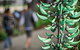 Munro Martin Parklands - thumb 2
