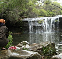 Nellies Glen Picnic Area - Holiday Cairns