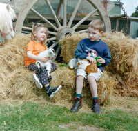 Rain Hayne and Shine Farmyard - Holiday Cairns