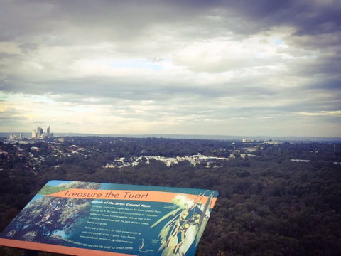 Reabold Hill Summit Boardwalk, Bold Park - Holiday Cairns 0