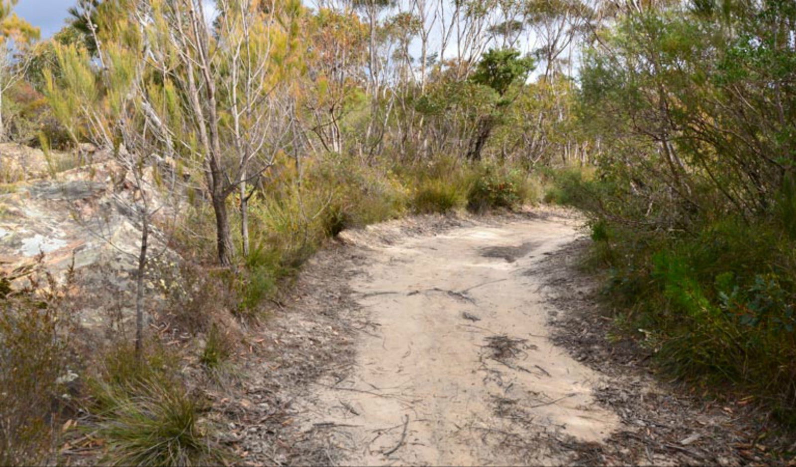 Browns Mountain NSW Holiday Cairns