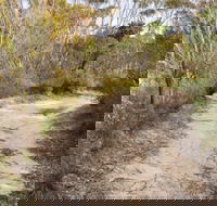 Red Rocks trig walking track - Holiday Cairns