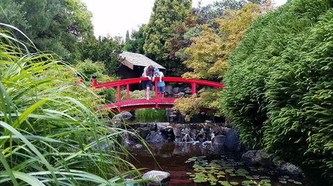 Royal Tasmanian Botanical Gardens - Holiday Cairns 1