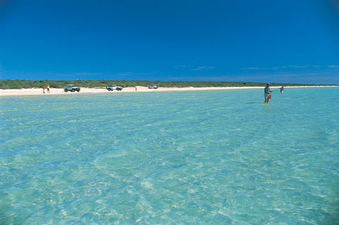 Shark Bay World Heritage Drive - Holiday Cairns 1
