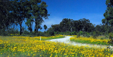 Shearer's Way - Holiday Cairns 0