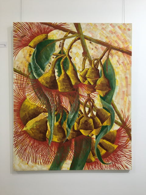 Wacky Bird Gallery - Holiday Cairns 1