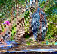 Wagirra Trail and Yindyamarra Sculpture Walk - Holiday Cairns
