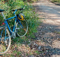 Walter Hood ride from Cudmirrah - Holiday Cairns
