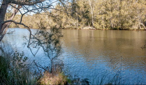 Wandandian Creek Picnic Area - Holiday Cairns 0