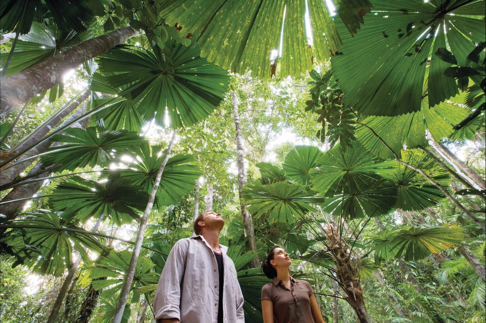 Kamerunga QLD Holiday Cairns