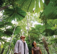Wet Tropics Rainforest - Holiday Cairns