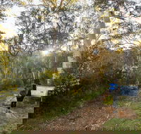 Yarrangobilly Caves  River walk - Holiday Cairns
