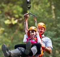Zipline at Illawarra Fly - Holiday Cairns