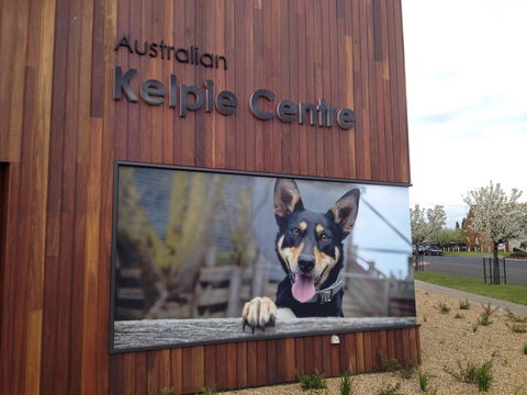 Australian Kelpie Centre - Holiday Cairns 0