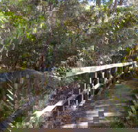 Awaba Bay Foreshore Walk - Holiday Cairns