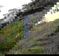 Bundidgerry Walking Track - Holiday Cairns