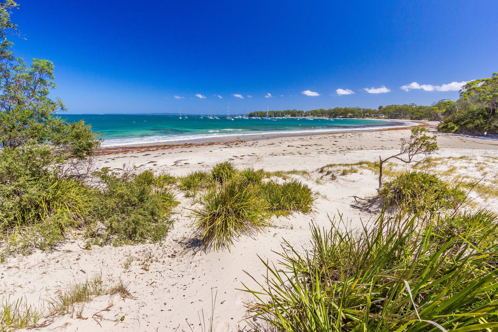 Callala Bay NSW Holiday Cairns