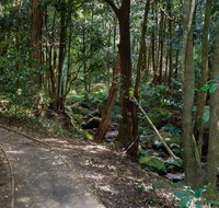 Cascades Walk - Holiday Cairns