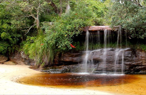 Collins Flat Beach - Holiday Cairns 0