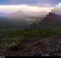 Cunninghams Gap and Spicers Gap Main Range National Park - Holiday Cairns