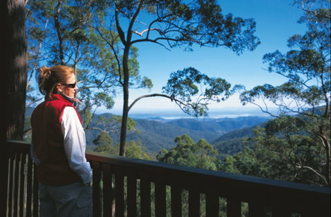 D'Aguilar National Park - Holiday Cairns 0