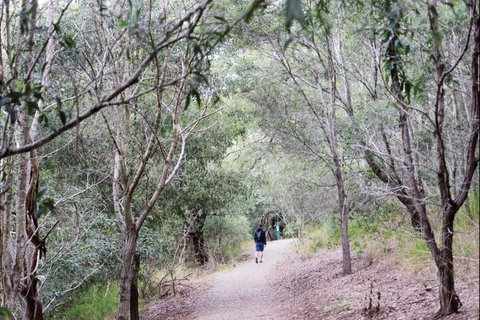 D'Aguilar National Park - Holiday Cairns 2
