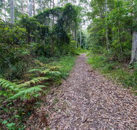 Double Wharf Trail - Holiday Cairns