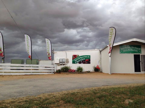 Fairfield Orchard - Holiday Cairns 2