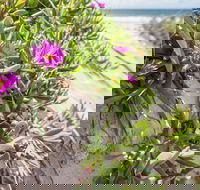 Fort Bribie - Holiday Cairns