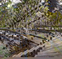 Governor Summit Corrunbral Borawah Walking Track - Holiday Cairns
