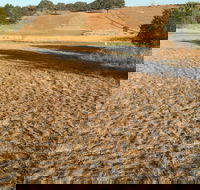Gunning Golf Club - Holiday Cairns