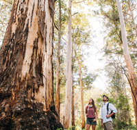 Jarrahland Wildflower Trail - Holiday Cairns