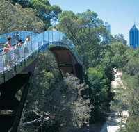 Law Walk - Kings Park - Holiday Cairns