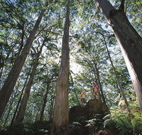 Leeuwin-Naturaliste National Park - Leeuwin - Holiday Cairns