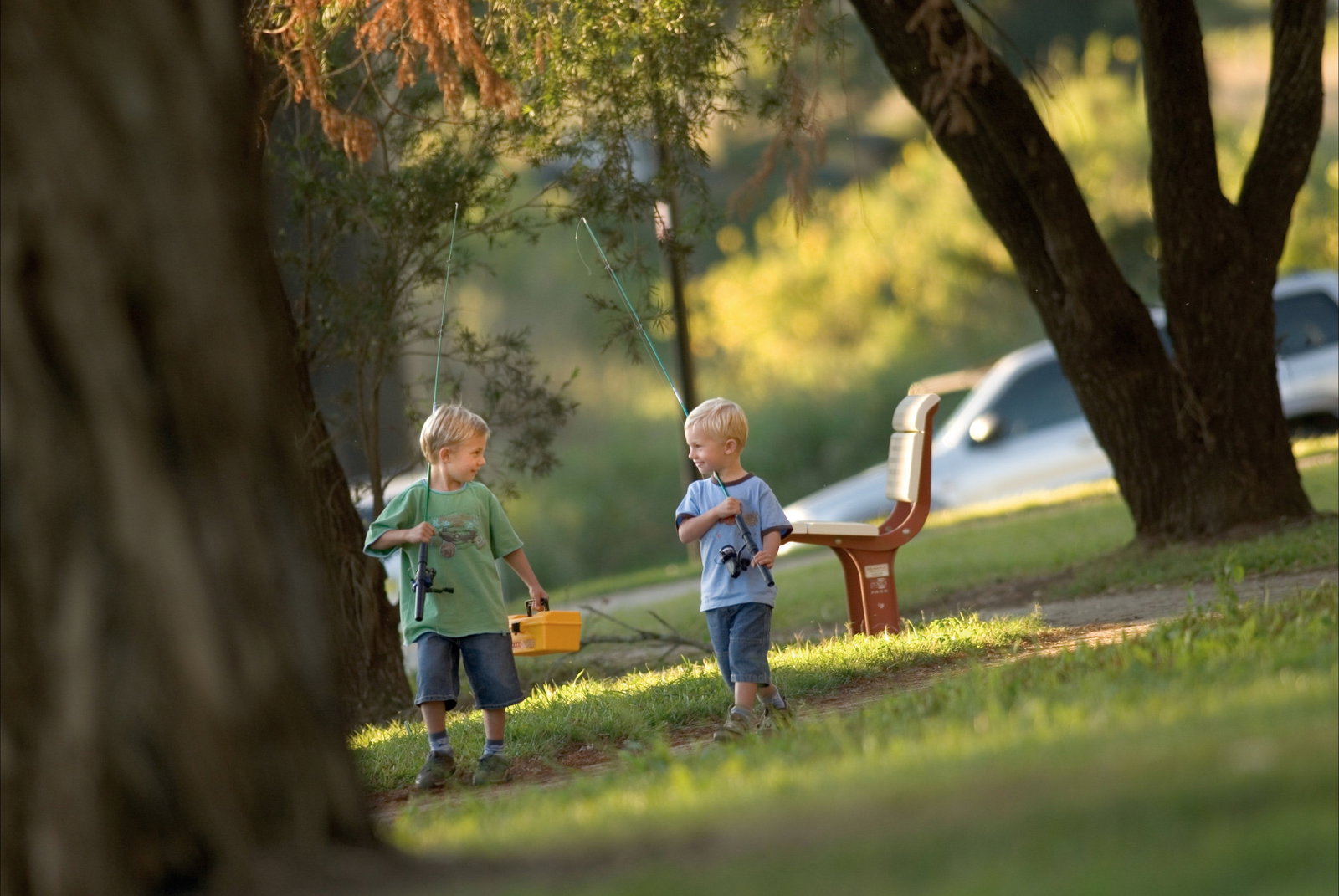 Loftville NSW Holiday Cairns