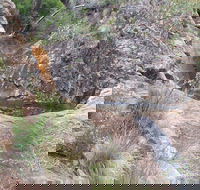 Mill-bullah Walking Track - Holiday Cairns