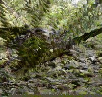 Mitchell River Walking Track - Holiday Cairns