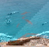 Nullarbor National Park - Holiday Cairns